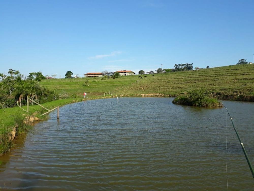 Fazenda para Venda em Sarapuí / SP no bairro Cocais
